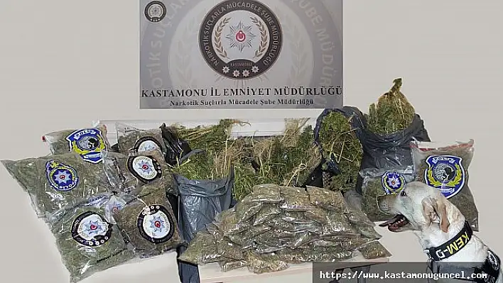 Kastamonu'da 50 kilo kubar esrar maddesi ele geçirildi