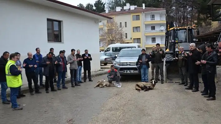 Hanönü Orman İşletme Müdürlüğü'ne 2 araç hibe edildi