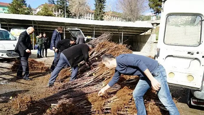Kastamonu'da çiftçilere 18 bin adet fidan dağıtıldı