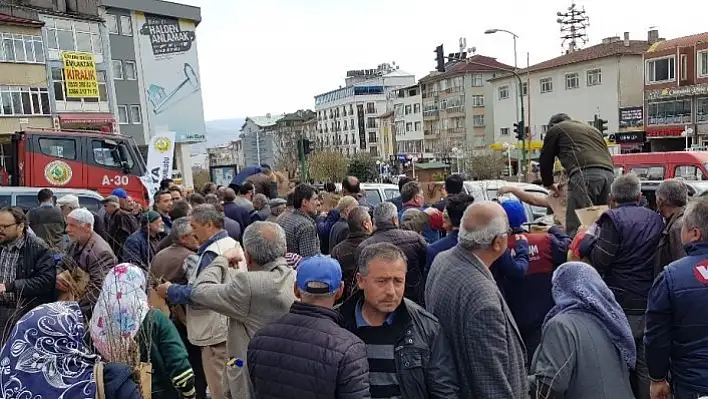 Kastamonu'da 3 bin fidan 3 dakikada dağıtıldı