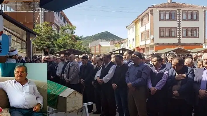 Kastamonu'da arının soktuğu kişi öldü