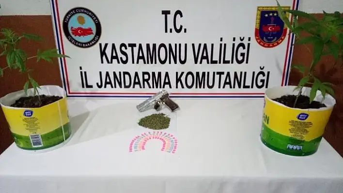 Kastamonu'da ev içerisine kurdukları serada uyuşturucu yetiştirdiler