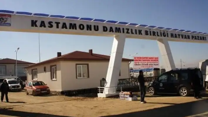 Şap hastalığı nedeniyle kapatılan canlı hayvan pazarı yeniden açıldı