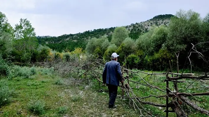 Emekli polisten 15 Temmuz şehitleri anısına fidanlık