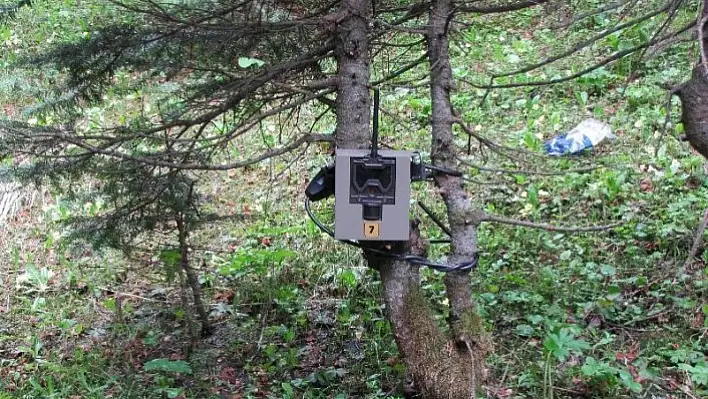 Ilgaz Dağı Milli Parkı fotokapanlar ile izlenecek