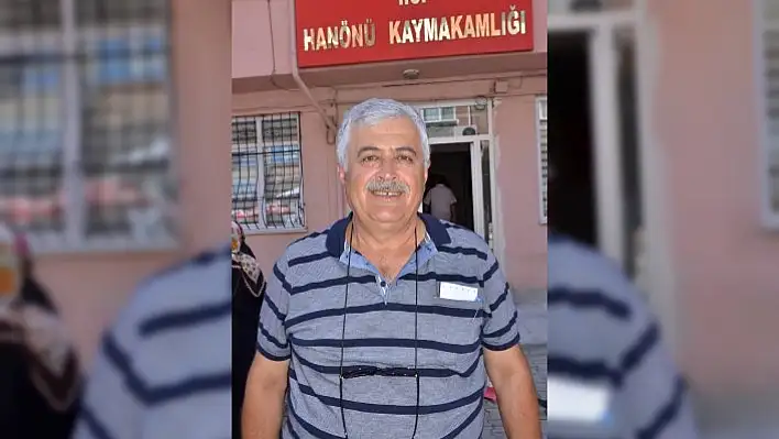 Yüksek gerilim hattı altında otlayan inekler telef oldu