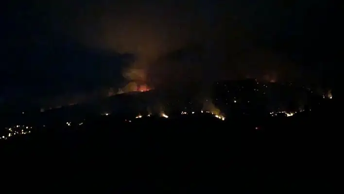 Kastamonu'daki orman yangını kontrol altına alındı