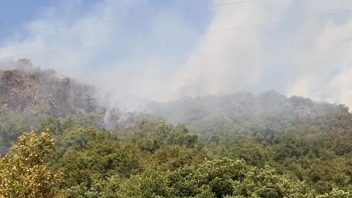 Kastamonu'da çıkan orman yangını helikopter ile söndürüldü