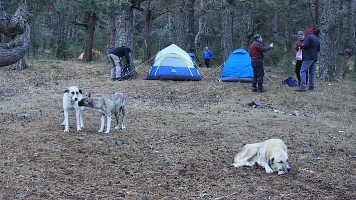 Ilgaz Cumhuriyet Tırmanışı gerçekleştirildi