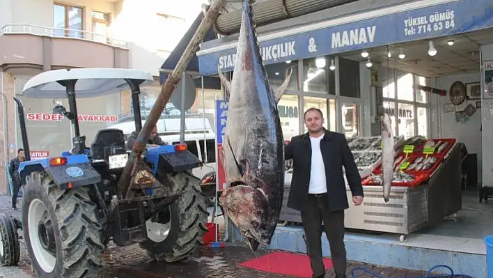 Satın aldığı 320 kiloluk orkinosu sergiledi