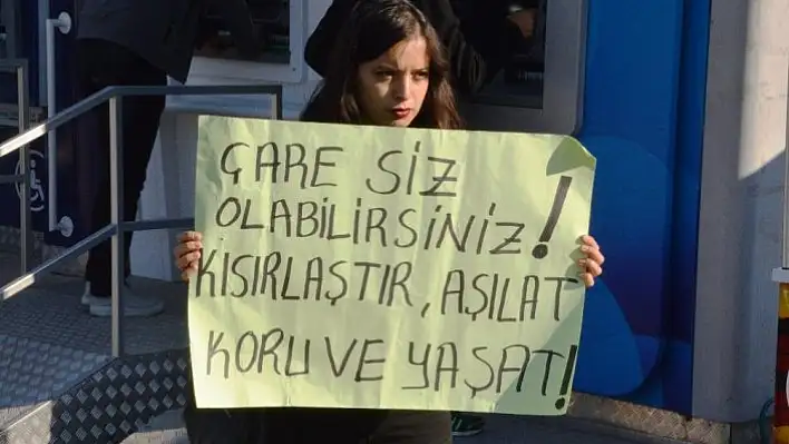 Hayvan severler, sokak hayvanları için bir araya geldi