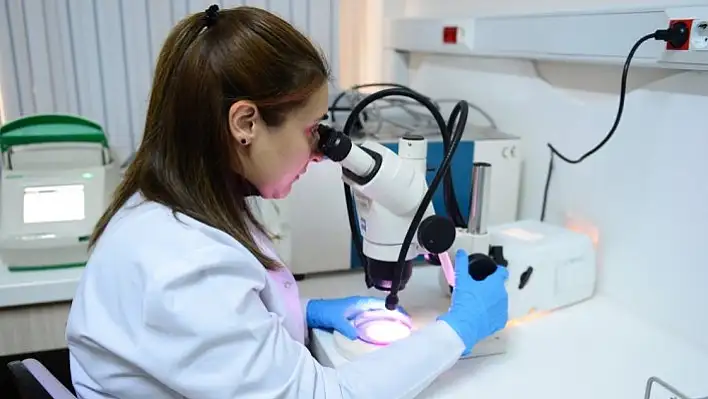 Kireçlenme hastalığına karşı hidrojen sülfür etkisi araştırıldı