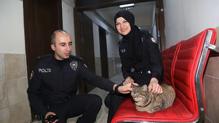 'Sevimli patilere' polisler sahip çıktı