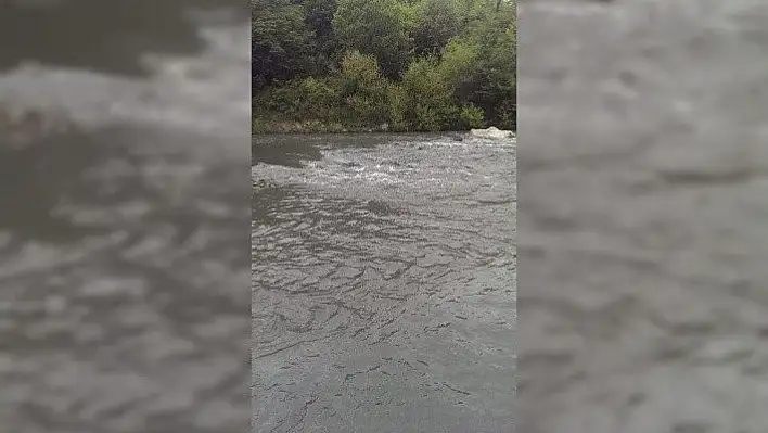 Kastamonu'da simsiyah akan çay köylüleri tedirgin etti 
