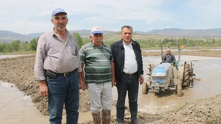 Tosya pirincinin ekim hazırlıkları başladı