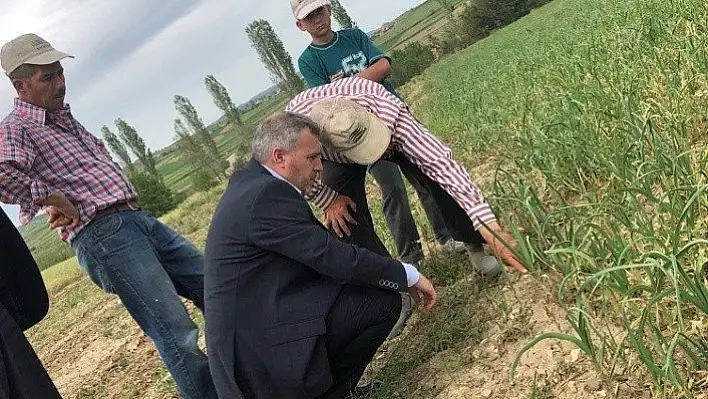 Milletvekili Çelik, dolu yağışı nedeniyle zarar gören yerleri gezdi