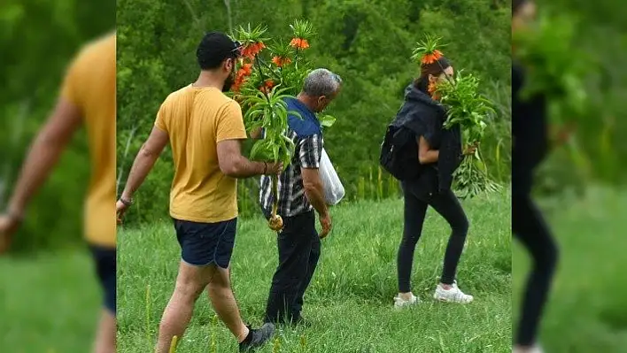Ters laleleri kopararak götüren 3 kişiye 180 bin TL para cezası 