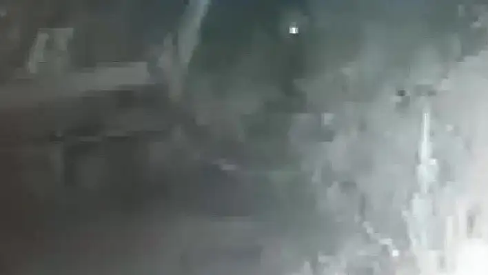Köye inen ayının görüntüsü güvenlik kamerasında