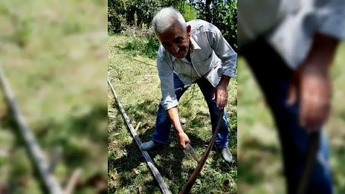 10 bin yıllık &quotHitit buğdayında" geleneksel yöntemle hasat