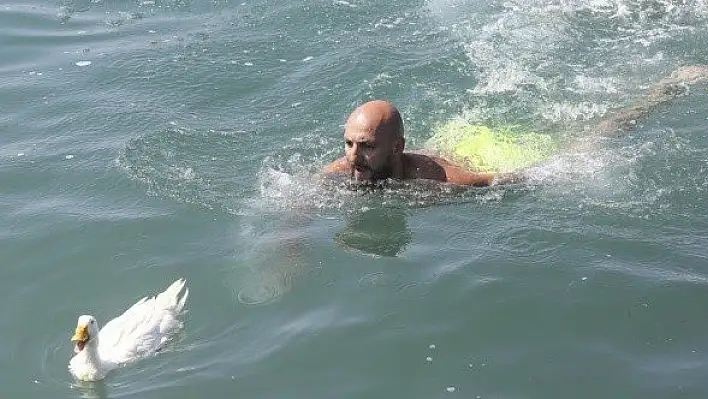 Abana Kültür, Sanat ve Deniz Şenlikleri devam ediyor