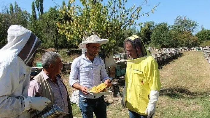 Kaymakam Pişkin, &quotVerimi yüksek olan arıcılığı ilçemizde geliştirmeliyiz"
