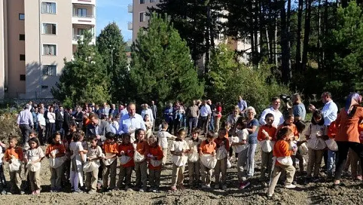 310 çocuk &quotsiyez buğdayı ekerek" rekor kırdı