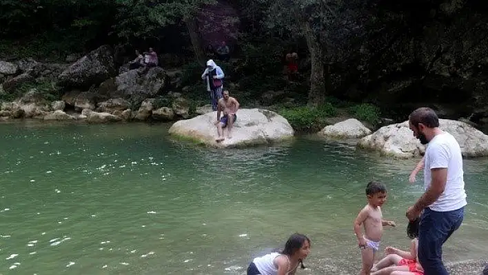 Karadeniz'in 'saklı güzelliği' Ilıca Şelalesi