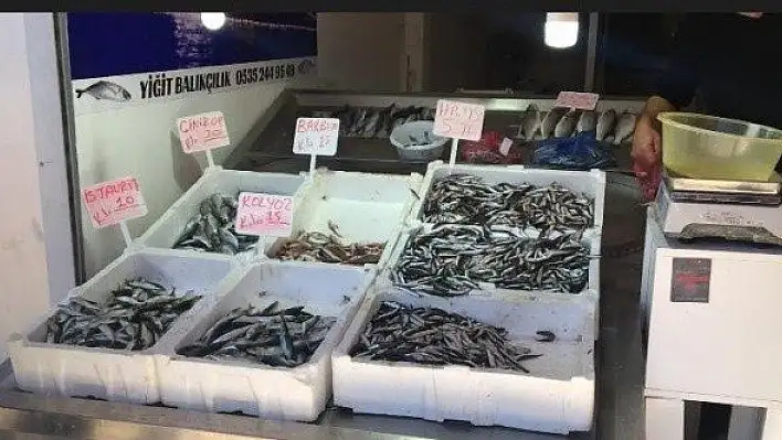 Kastamonu'da hamsinin fiyatı 5 liraya kadar düştü