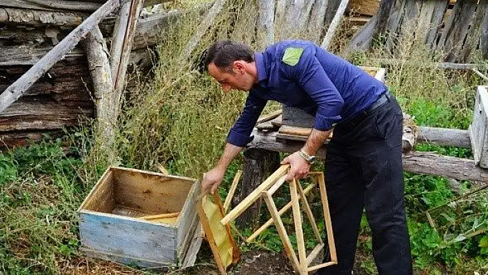 Kastamonu'yu ayı korkusu sardı