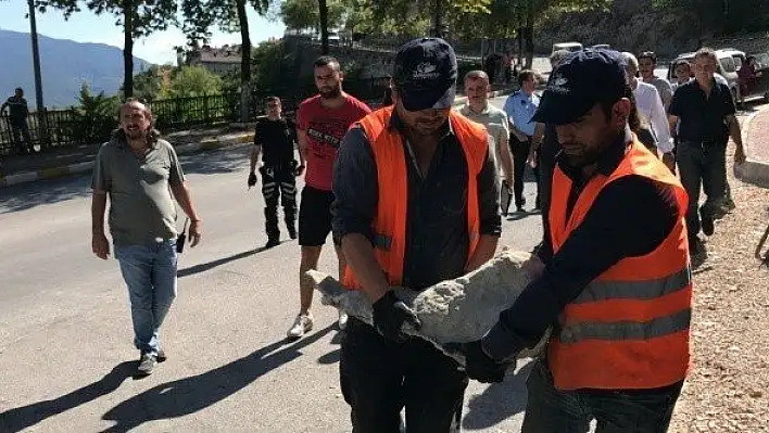 Sit alanına izinsiz konulan aslan heykeli müzeye götürüldü