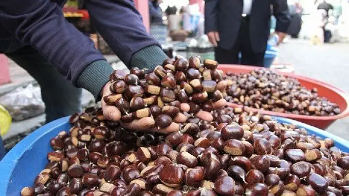 Bozkurt halkı kestaneden yılda 2 milyon lira kazanıyor
