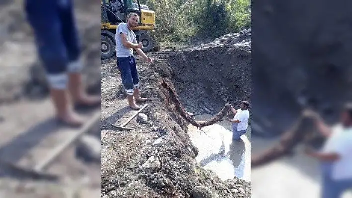 Su şebekesi bakımında 4 metrelik ağaç kökü çıktı