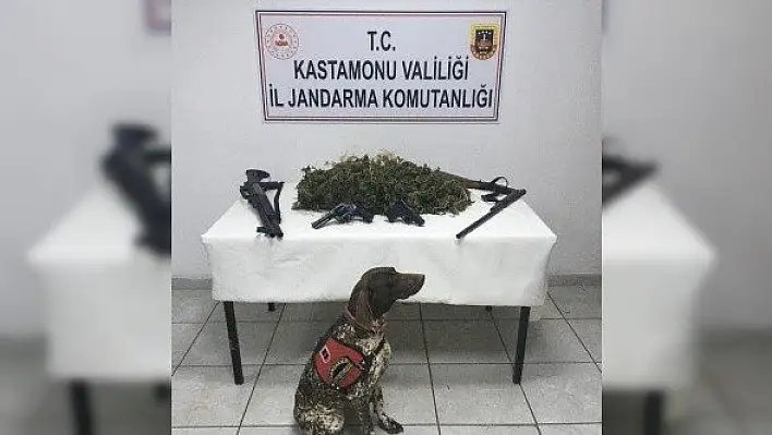 Kenevir eken şahıslara suçüstü: 3 gözaltı