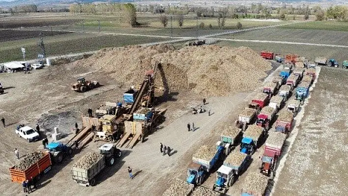 Çiftçilerin zorlu pancar mesaisi devam ediyor