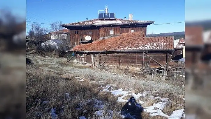 Kastamonu'da üç evin soyulduğu köydeki köpek tabancayla öldürüldü