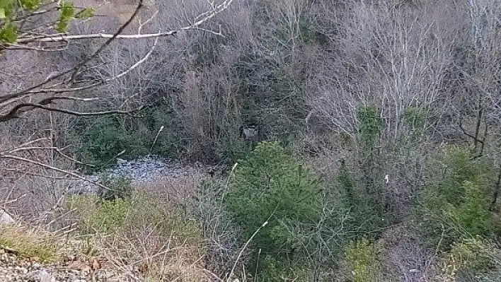 Kaza yapan sürücünün cesedi 1 gün sonra bulunabildi