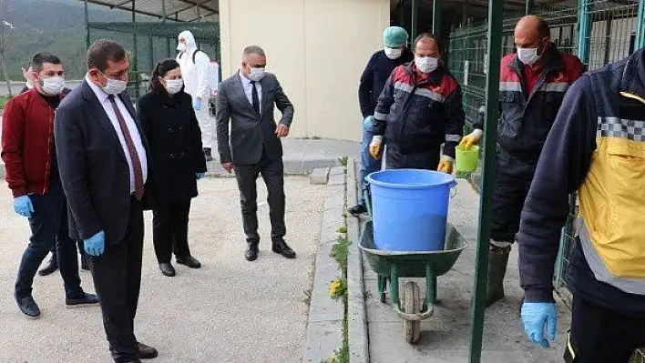 Kastamonu Belediyesi sokak hayvanlarını unutmadı