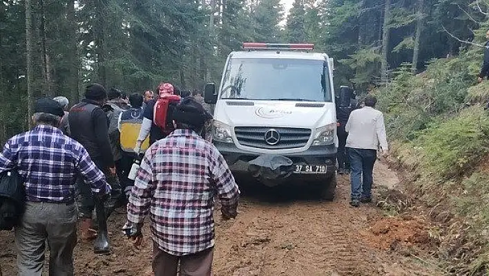 Kastamonu'da üzerine ağaç devrilen şahıs yaralandı