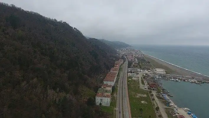 Tıbbi ve aromatik bitkiler ülke ekonomisine de yaradı