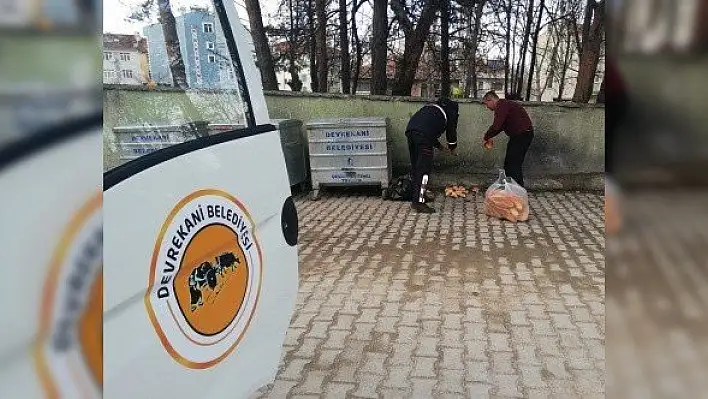 Vatandaş evindeyken sokak hayvanları aç kalmayacak