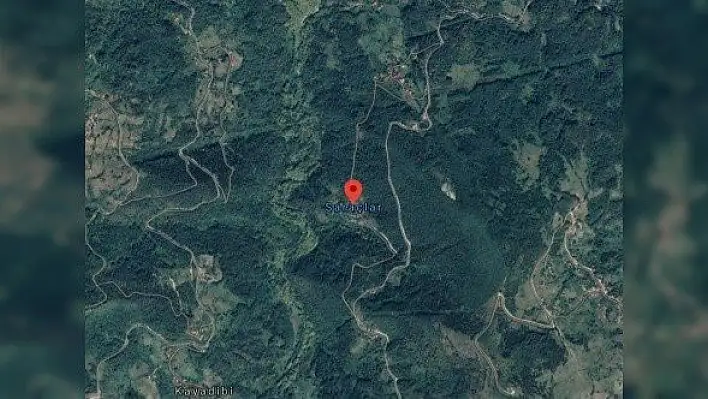 Çatalzeytin'de iki mahalle karantinaya alındı