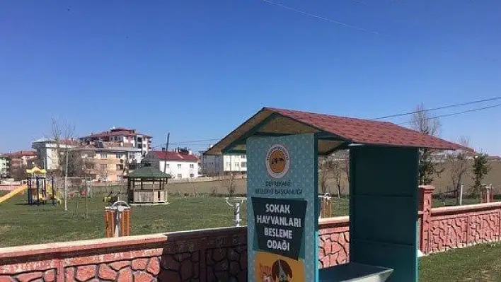 Kastamonu'da sokak hayvanları için &quotbeslenme odakları" oluşturuldu