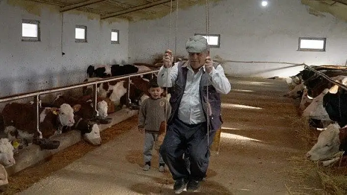Dede ve torunları, ahırda salıncak binerek vakit geçiriyor