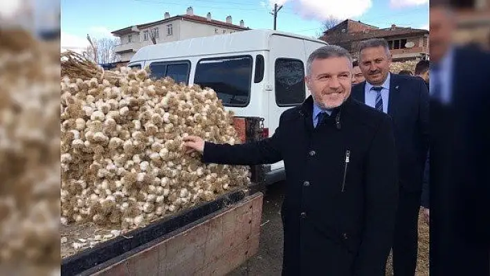 &quotTaşköprü Sarımsağı, dünyada bir numaradır"
