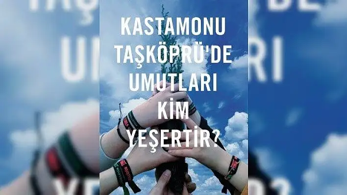 TEMA Vakfı, Taşköprü'de gönüllü ilçe sorumlusu arıyor