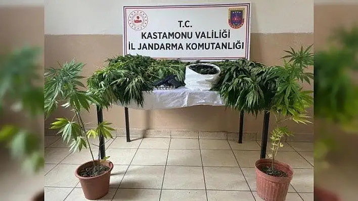 Kastamonu'daki uyuşturucu operasyonlarında 3 kişi yakalandı