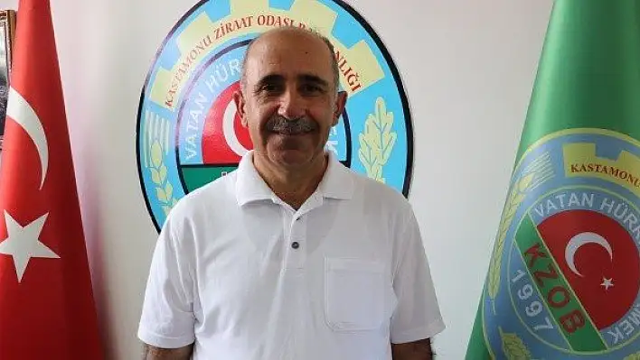 &quotTaşköprü sarımsağının hasadı temmuz ayında başlar"