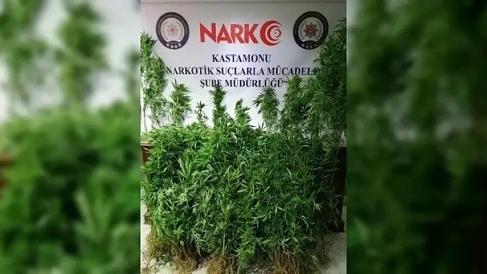 Ağlı'da uyuşturucu operasyonunda yakalanan 2 kişi tutuklandı