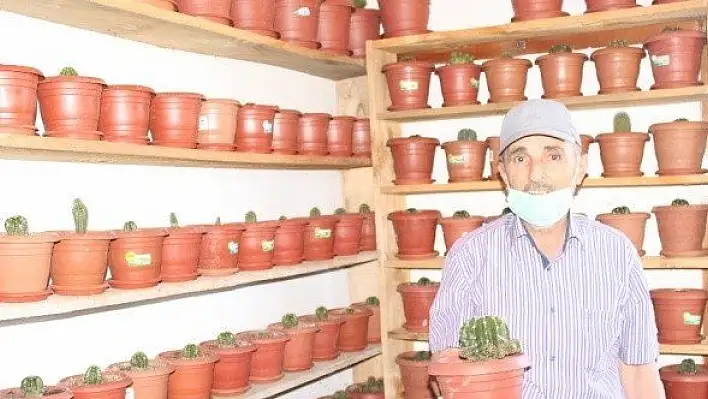 Hobi olarak başlamıştı, şimdi yurt dışına pazarlamaya hazırlanıyor