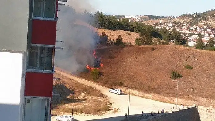 Kastamonu'daki orman yangını büyümeden söndürüldü